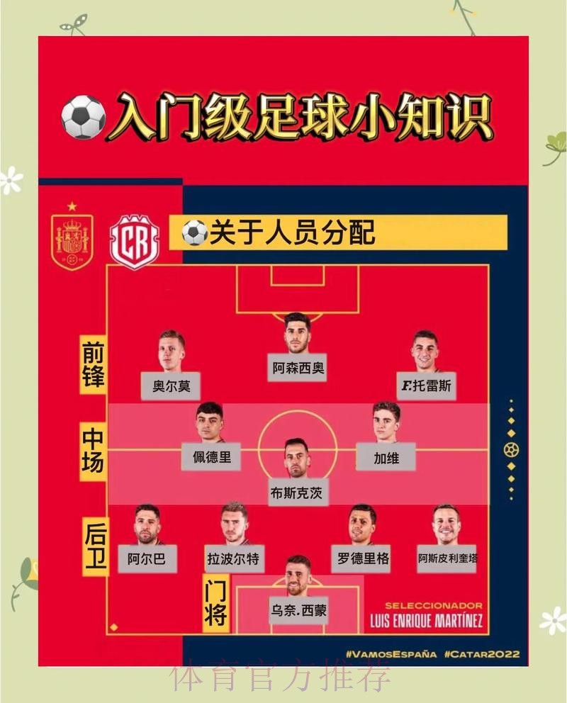 世界杯买球实时全站攻略与技巧