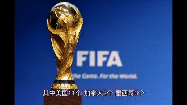 高清全站解析：世界杯比分动态分析